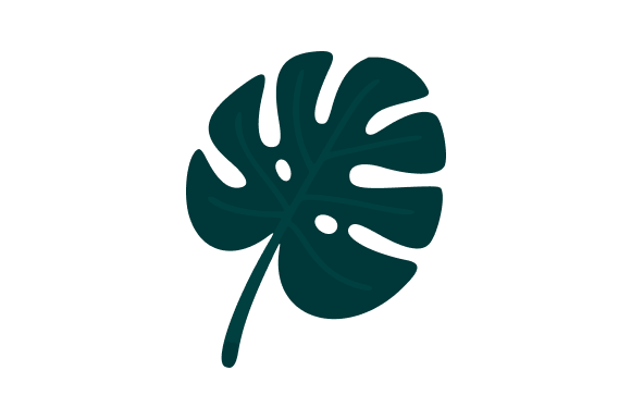 Monstera Leaf Clip Art for Creative Design Projects