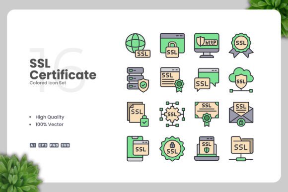 SSL Certificate Colored Icons for Modern Graphics